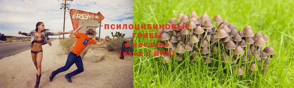 spice Алексеевка