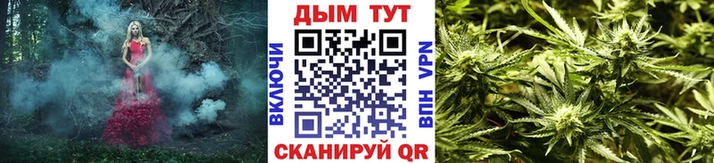 Каннабис ГИДРОПОН  Прохладный 